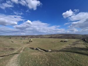 IMG-7017c9949ae554889b156cce4e326798-V